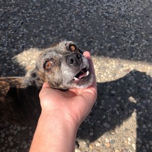 Meet your Posher, Jacklyn